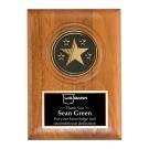 Large Star Medallion Plaque - 9" x 12"