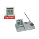 Slim Traveler AM/FM Radio/Alarm Clock/Flashlight