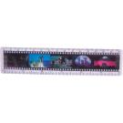 Lenticular 2" x 6" Ruler